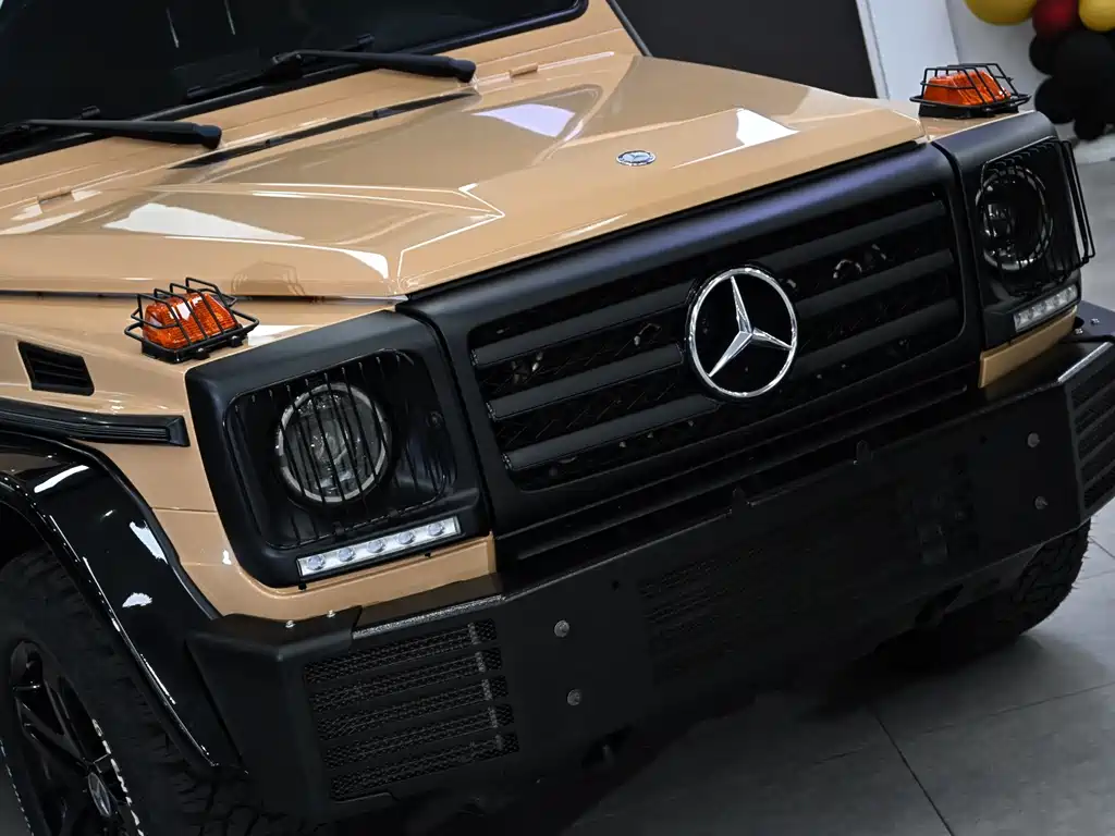 Mercedes-Benz G-Class 2016 — фото 8