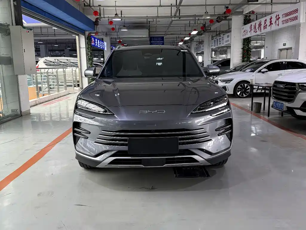 BYD PLUS New Energy 2024 — фото 2