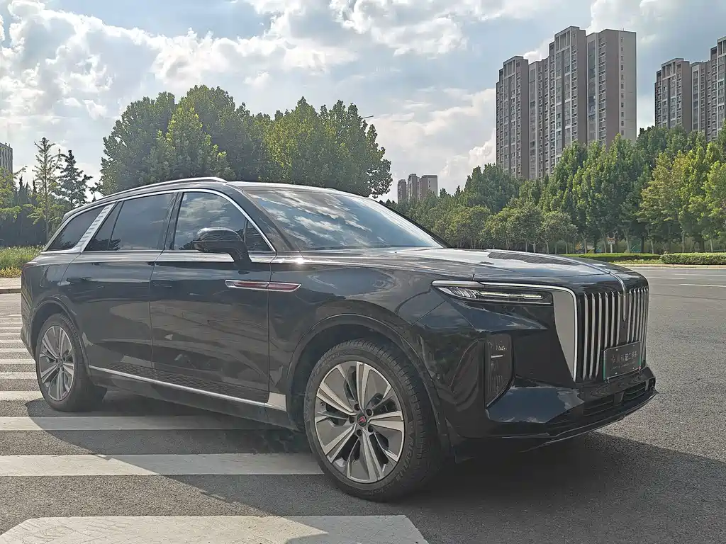 Hongqi E-HS9 2023 — фото 3