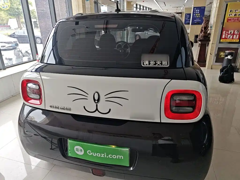 Ora Black Cat 2021