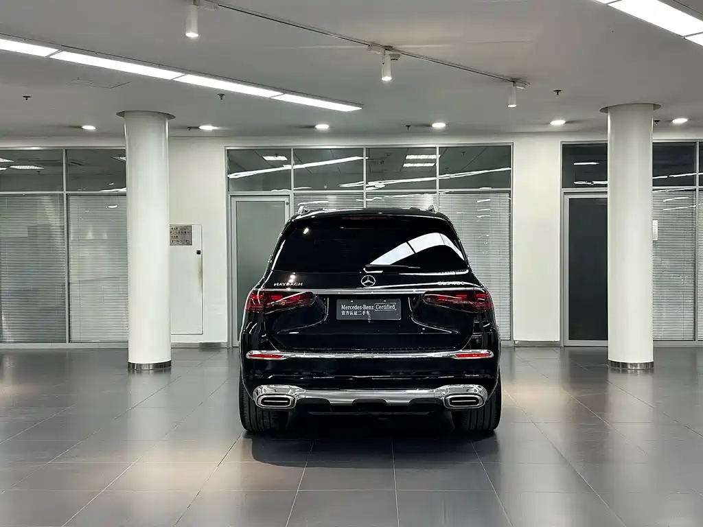 Mercedes-Benz Maybach GLS 2025 — фото 5
