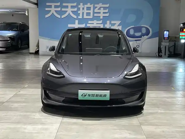 Tesla Model 3 2020