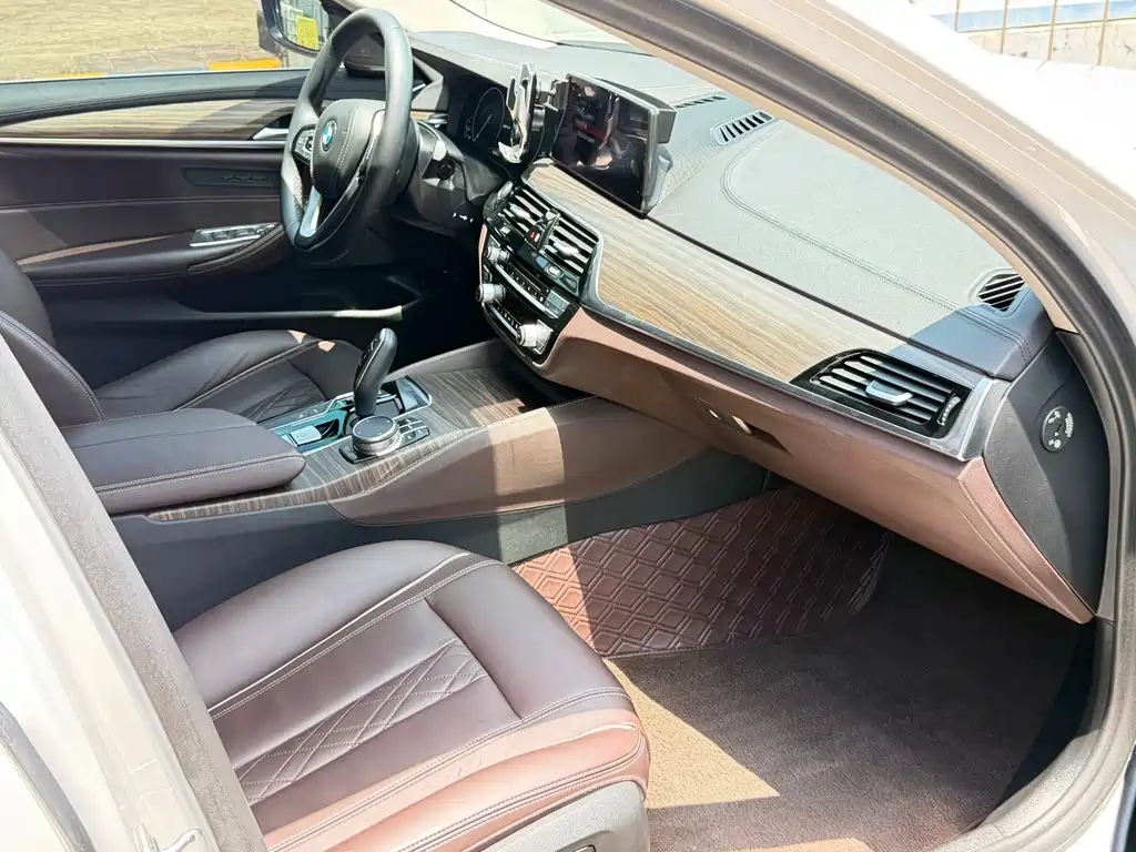BMW 5 Series New Energy 2018
