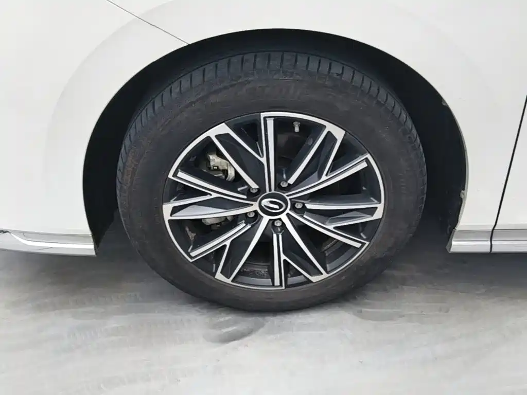 GAC Trumpchi M8 2023 — фото 23