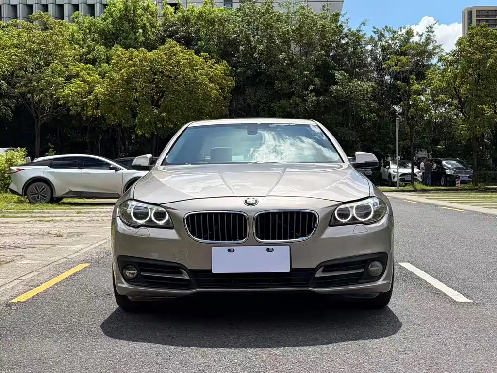 BMW 5 Series 2014 — фото 2