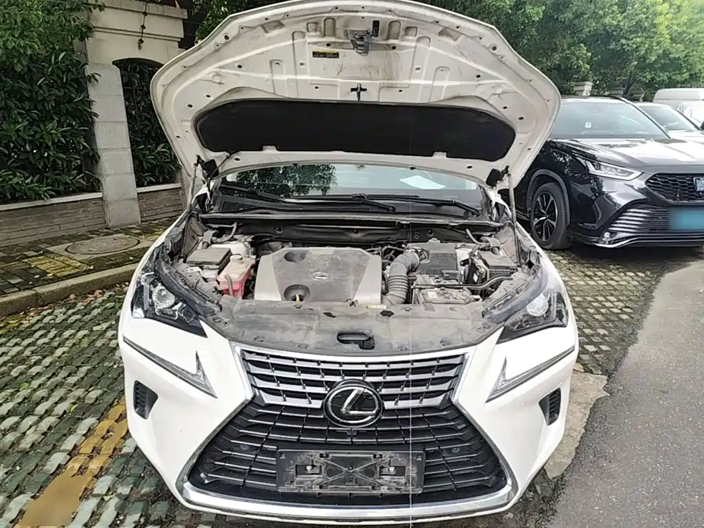 Lexus NX 2020 — фото 16
