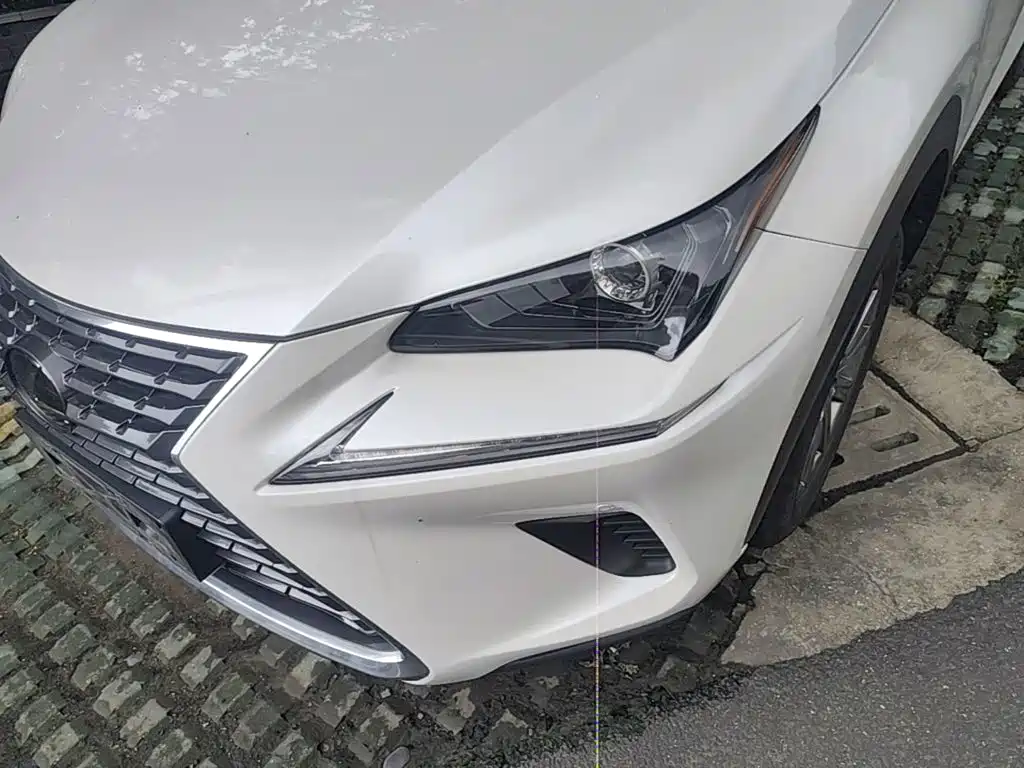 Lexus NX 2020 — фото 18