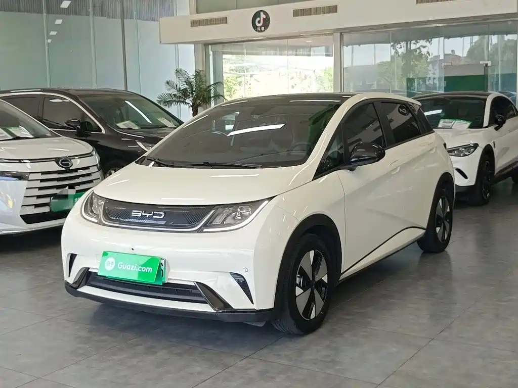 BYD Dolphin 2023