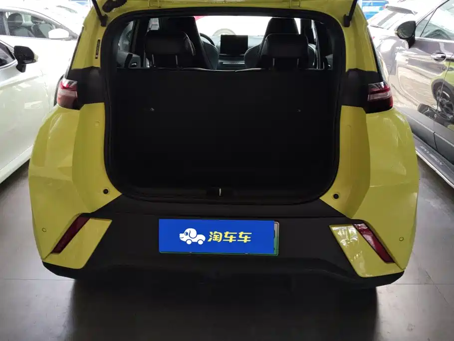 BYD Seagull 2024