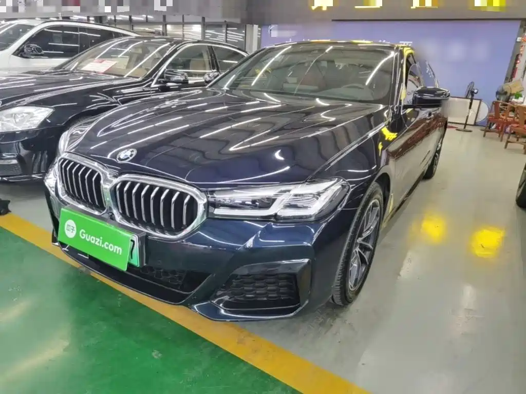 BMW 5 Series New Energy 2021