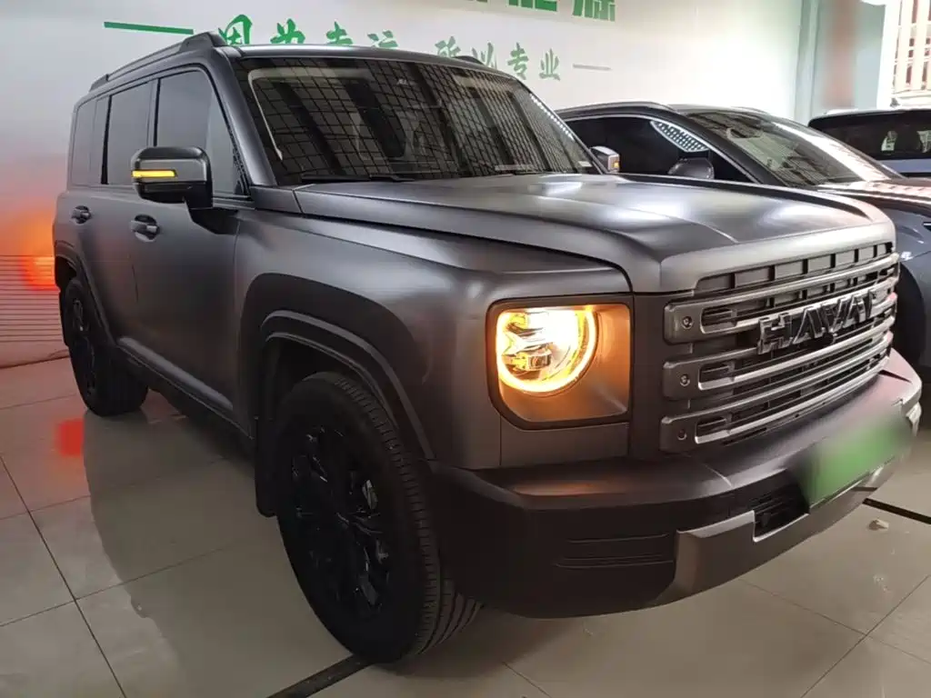 Haval Menglong New Energy 2025