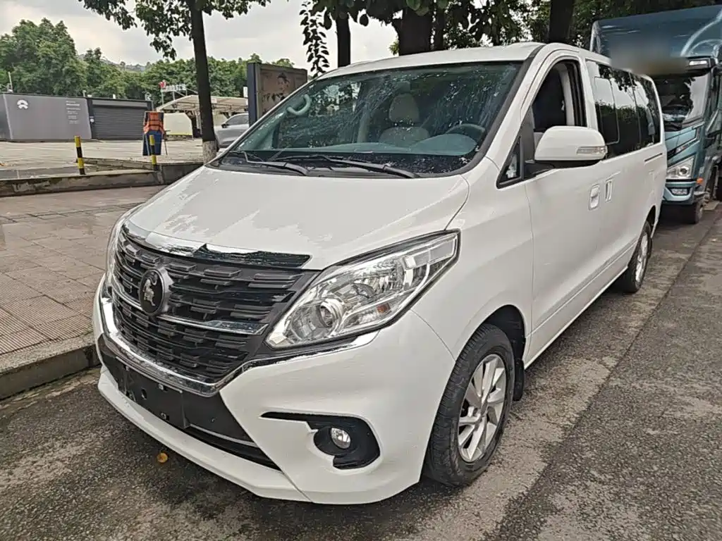 Fengxing Lingzhi PLUS 2024