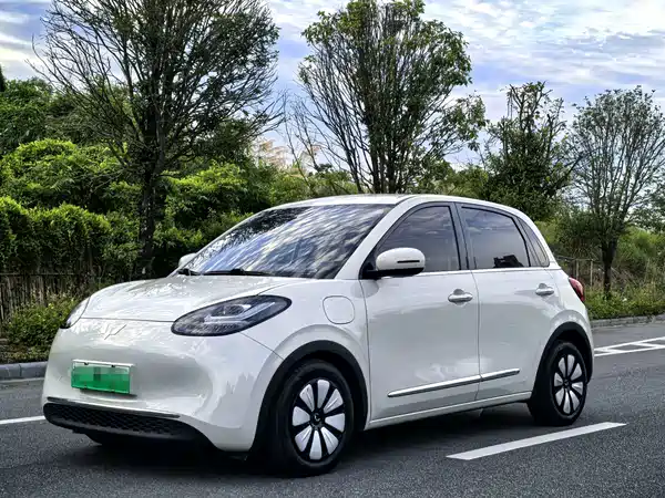 Wuling Bingo 2023