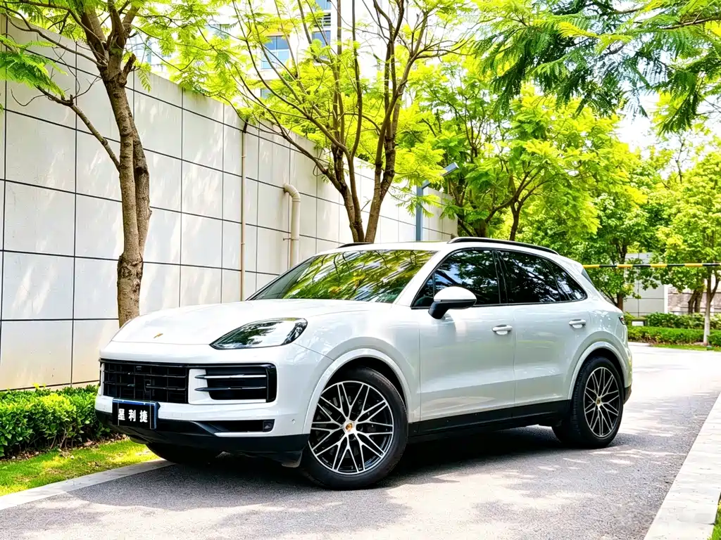 Porsche Cayenne 2023 — фото 1