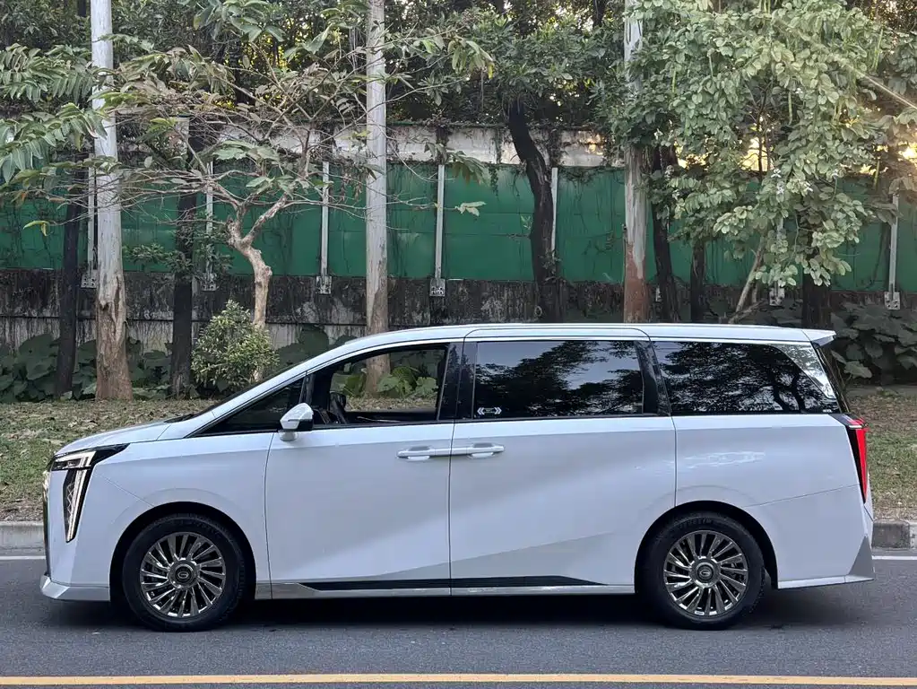 GAC Trumpchi M8 2024 — фото 13
