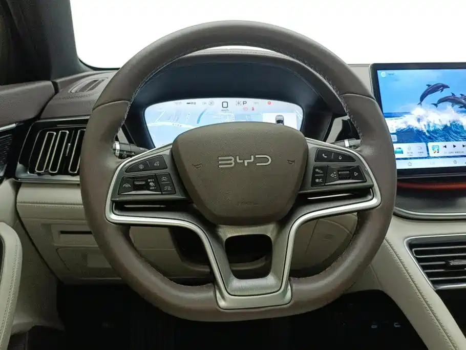 BYD Song PLUS New Energy 2025 — фото 15