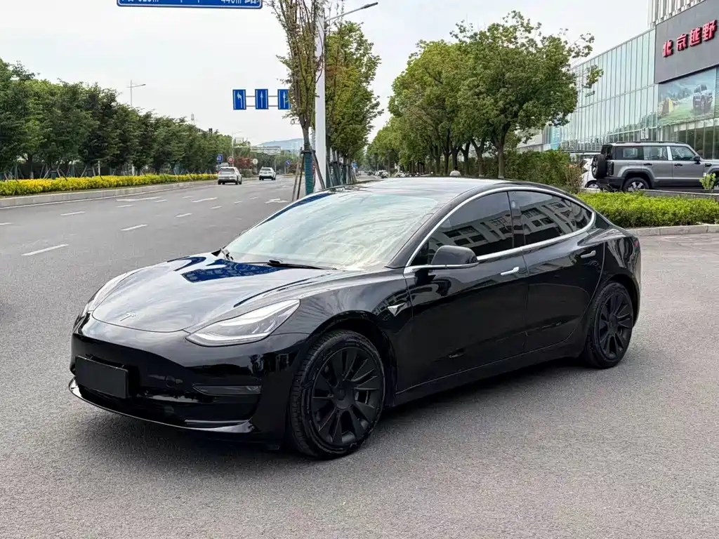 Tesla Model 3 2019