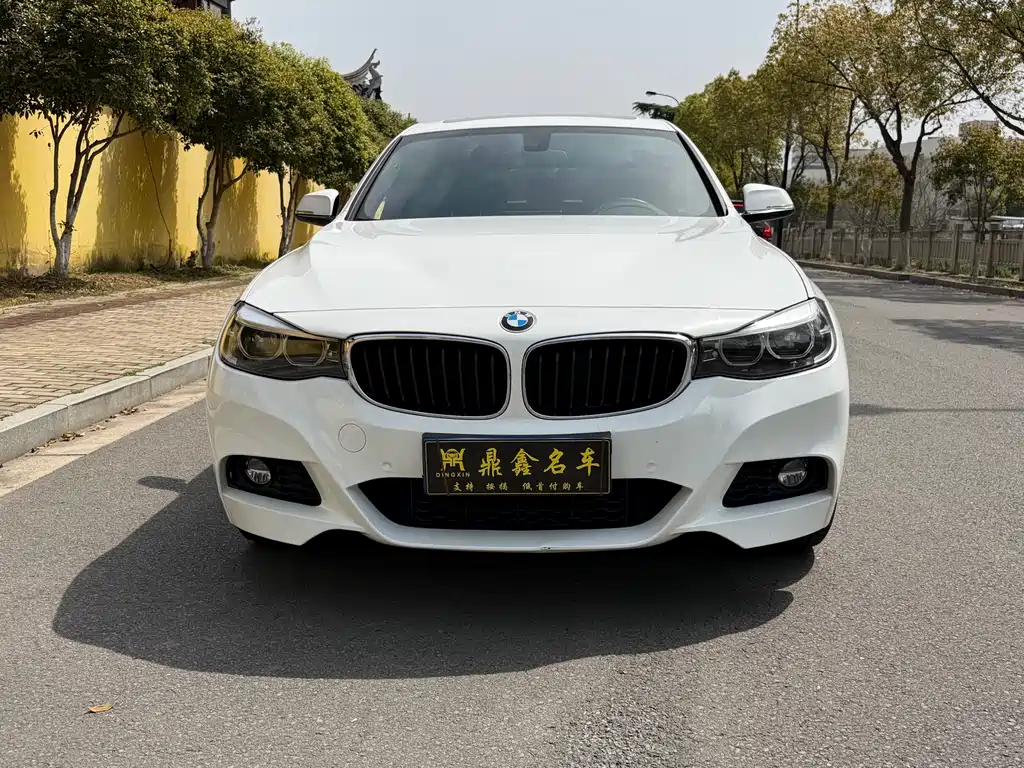 BMW 3 Series GT 2019 — фото 2