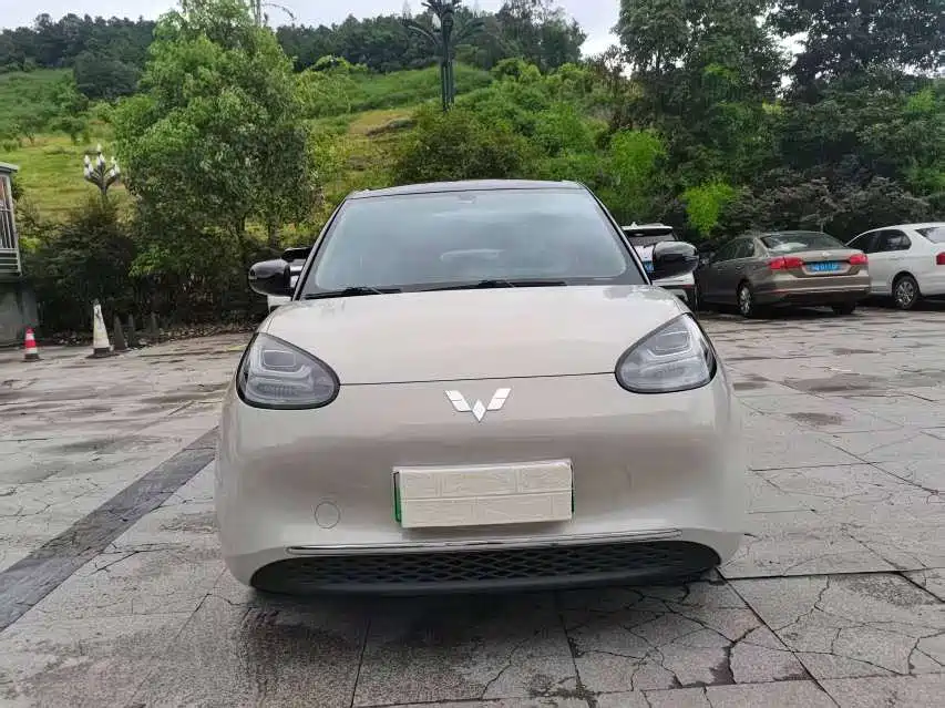 Wuling Bingo 2024