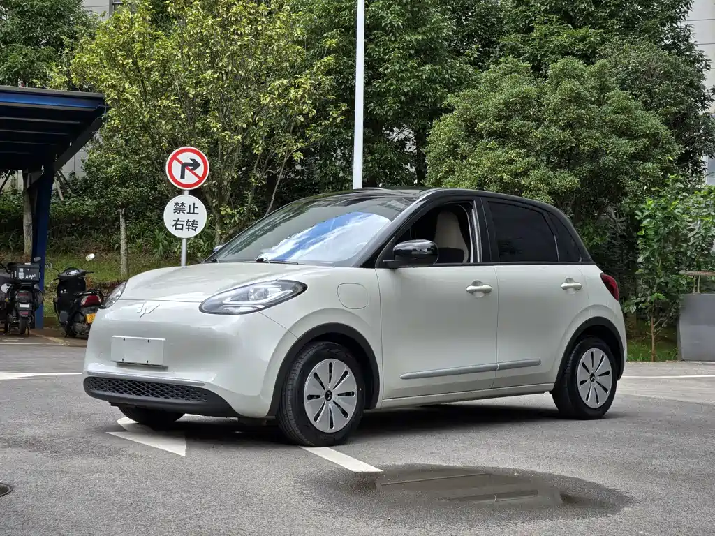 Wuling Bingo 2024