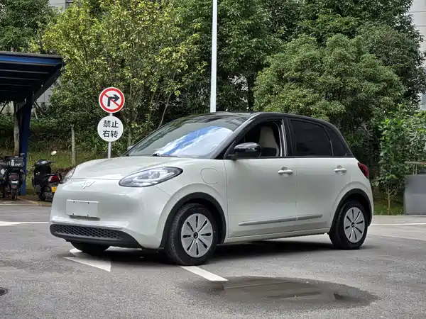 Wuling Bingo 2024