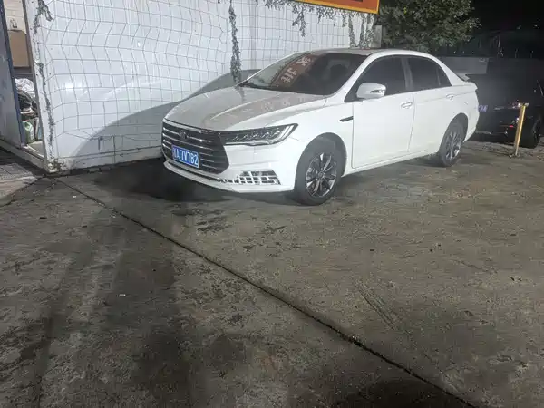BYD Qin 2020