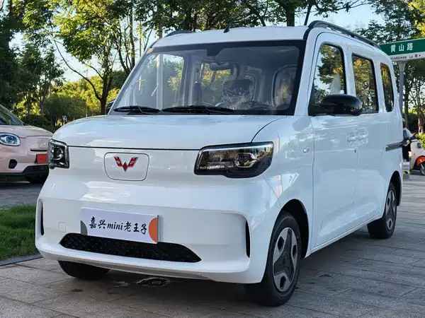 Wuling Zhiguang New Energy 2026