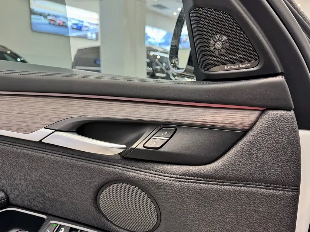 BMW X6 2017 — фото 14