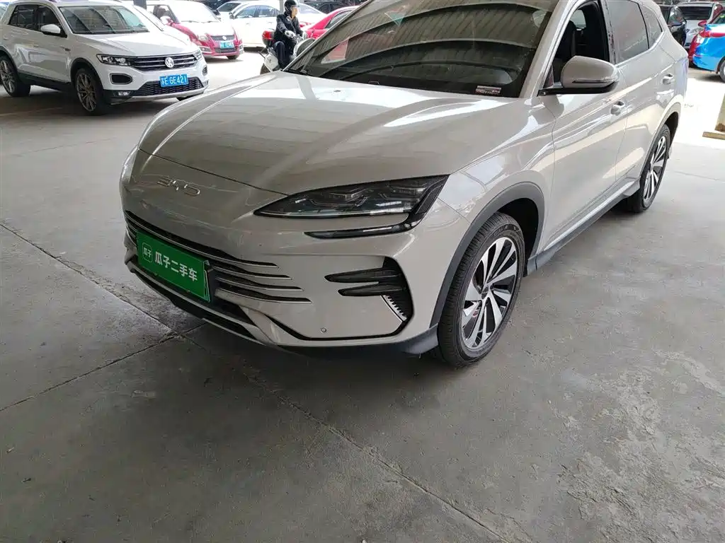 BYD PLUS New Energy 2024 — фото 19
