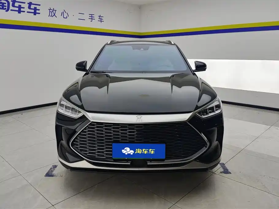BYD PLUS New Energy 2023 — фото 2