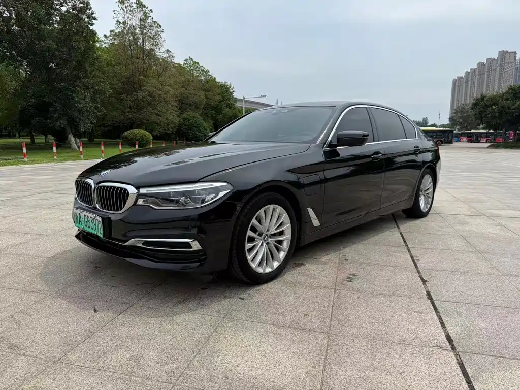 BMW 5 Series New Energy 2019