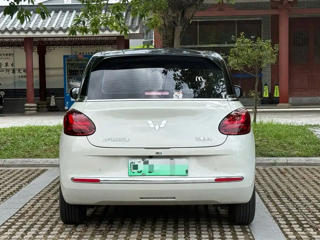 Wuling Bingo 2024