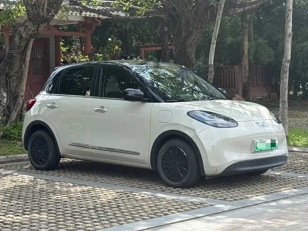 Wuling Bingo 2024