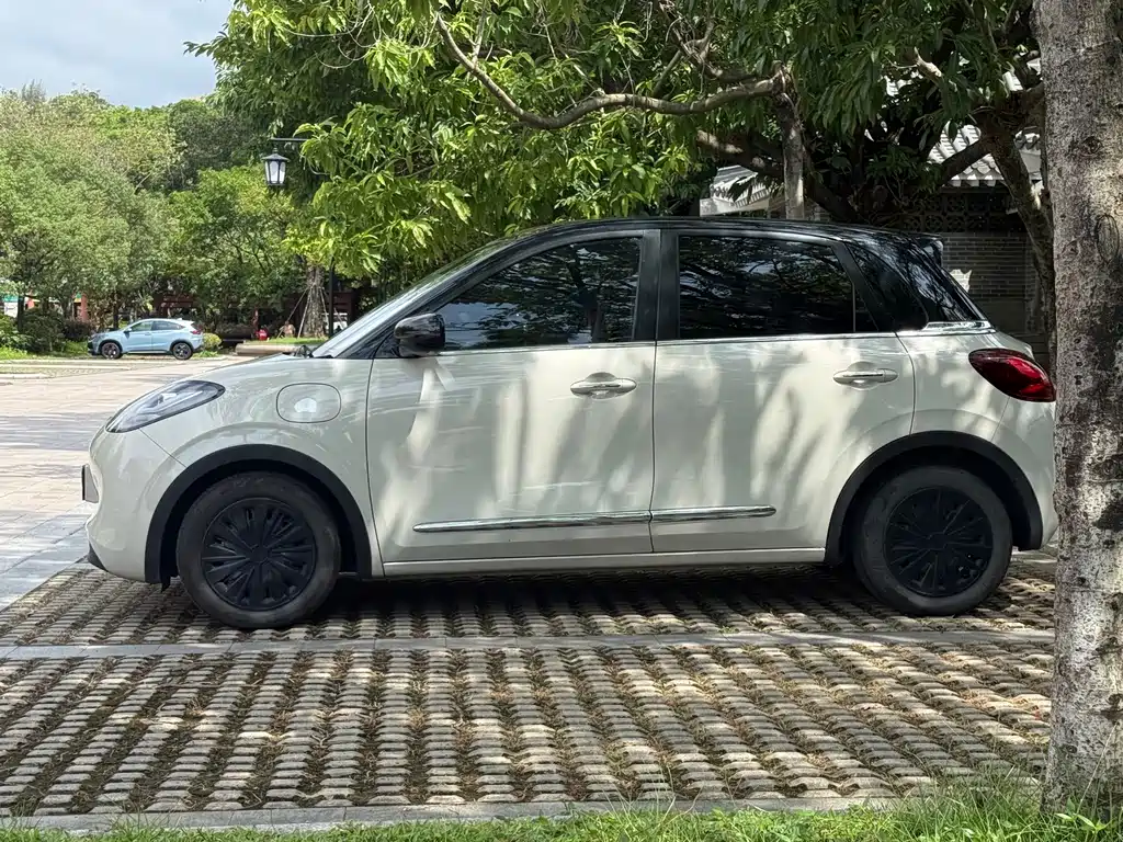 Wuling Bingo 2024