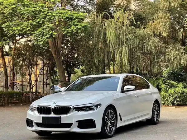 BMW 5 Series 2020