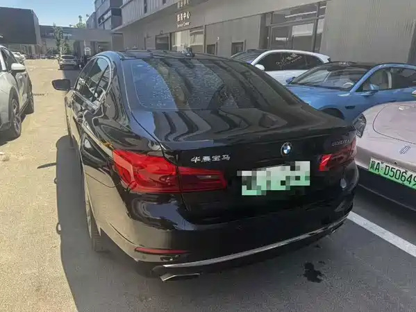 BMW 5 Series New Energy 2019