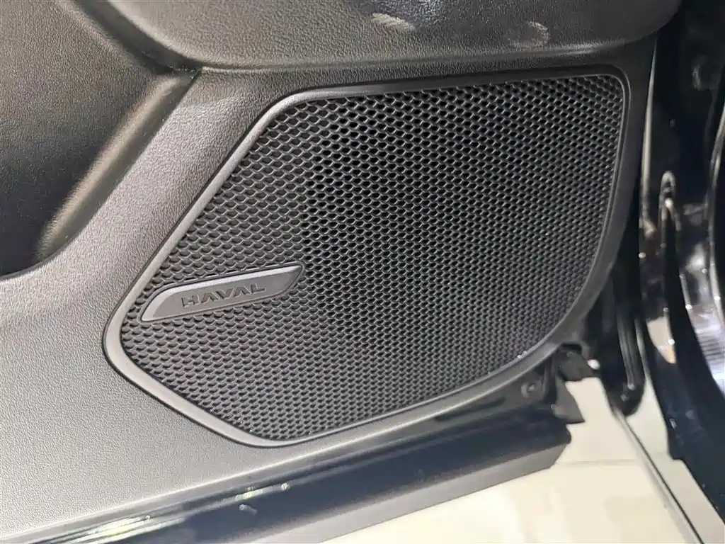 Haval Dargo PLUS 2025 — фото 18