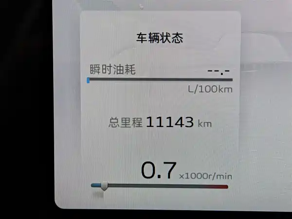 Geely Binrui 2024