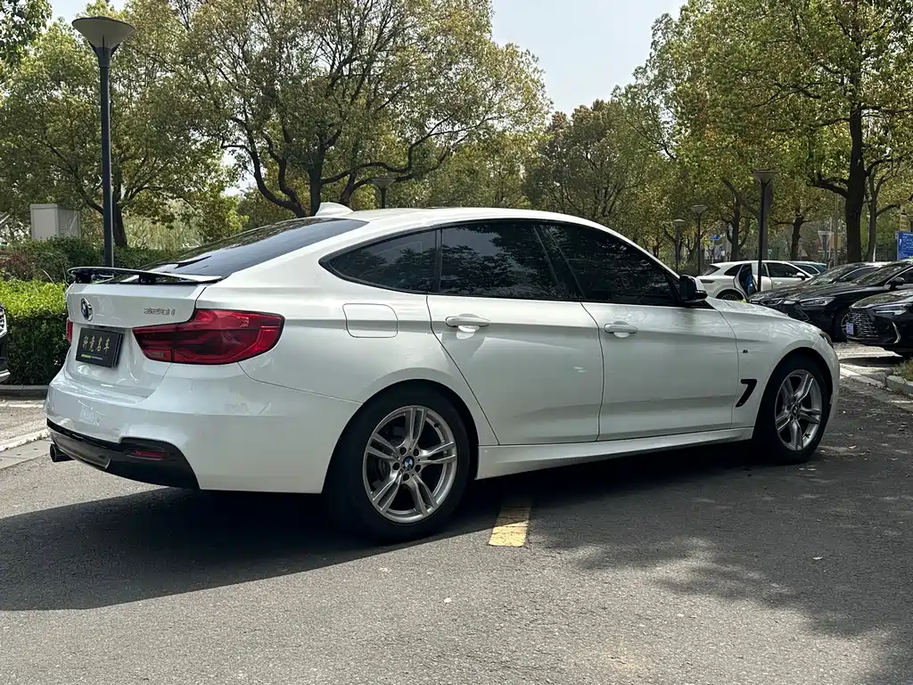BMW 3 Series GT 2019 — фото 21