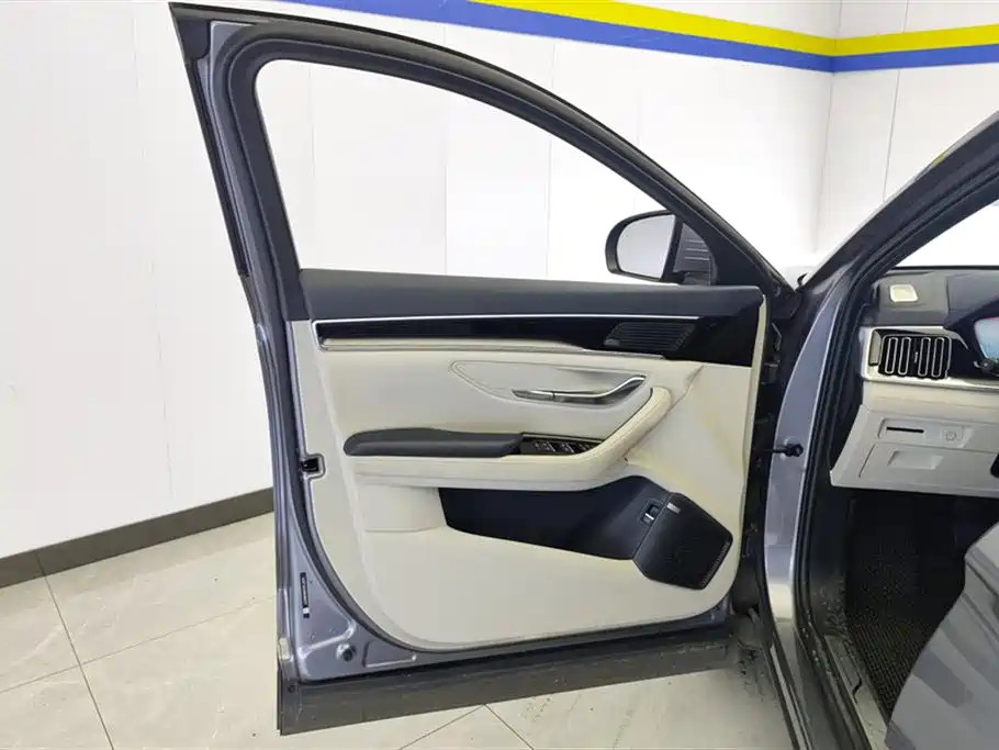 BYD PLUS New Energy 2022 — фото 7