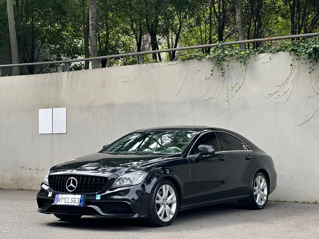 Mercedes-Benz CLS 2013 — фото 1