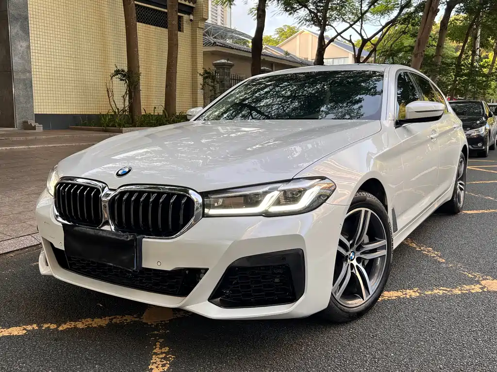 BMW 5 Series 2021