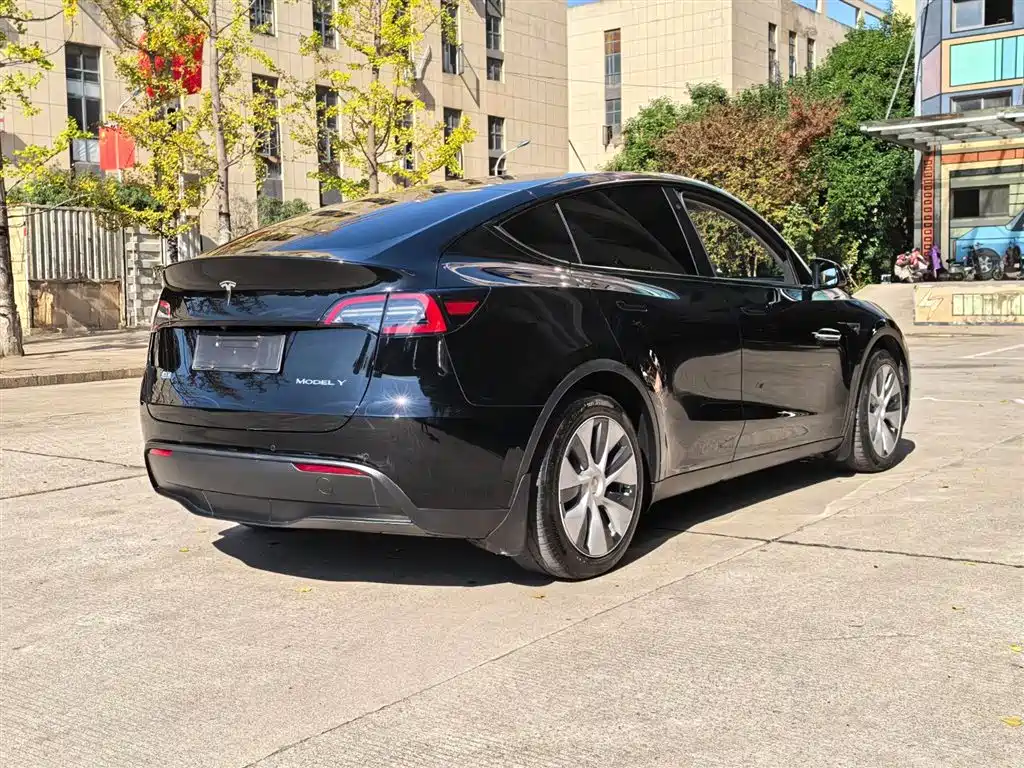 Tesla Model Y 2021 — фото 10