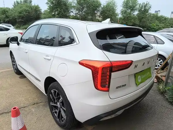 Haval First Love 2021