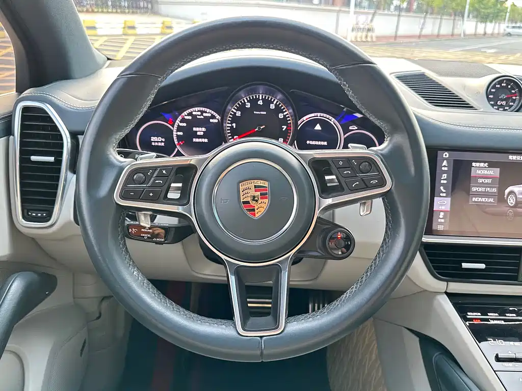 Porsche Cayenne 2020 — фото 14