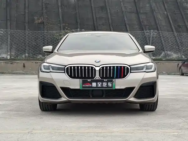 BMW 5 Series 2021