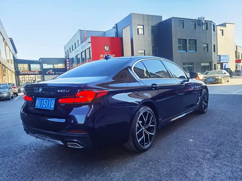 BMW 5 Series 2021