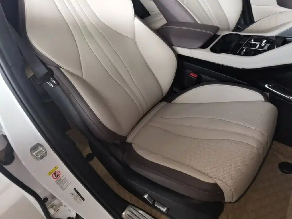 BYD PLUS New Energy 2025 — фото 25