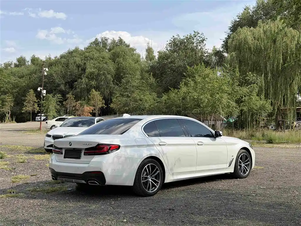 BMW 5 Series New Energy 2020