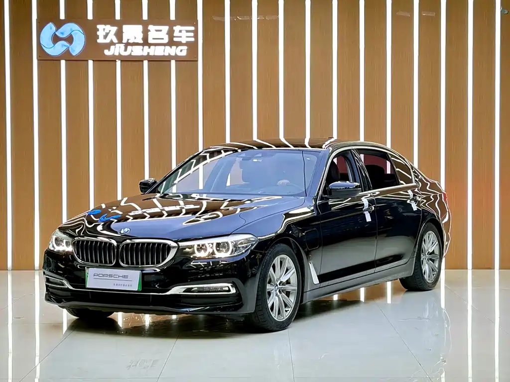 BMW 5 Series New Energy 2018